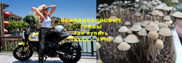 MDMA Premium VHQ Арсеньев