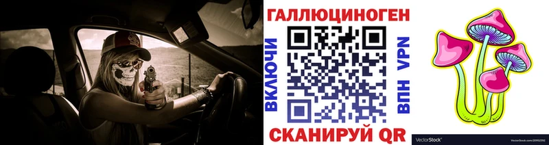 Галлюциногенные грибы Psilocybine cubensis Урай