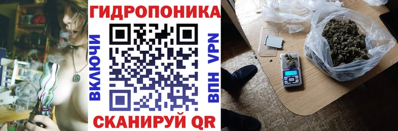 Бошки марихуана OG Kush Урай